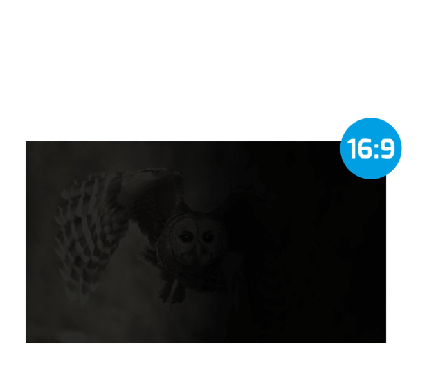 Natec FILTR PRYWATYZUJĄCY RODO NATEC OWL 21.5" 16:9 - 1480439 - zdjęcie 3